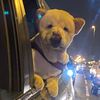 noor_83_