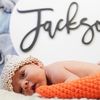 jacksondavidarnold