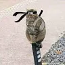 shulito87