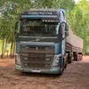 mariliago1