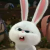 mikaaa.ai