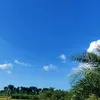 meghla486