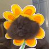 esbatu_2rbu