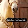 alfarqh511