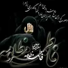 farzanarazai3
