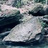 kiky_03228086