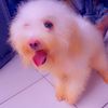 jordy10244