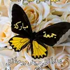 user295051510
