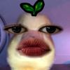 its_salma222