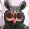 sjsiajka