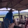 joseferreiradasilva07