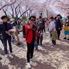ryankorea1