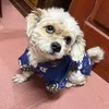 linhthuy_1912