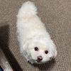ann_ann0825