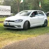 cescotgi
