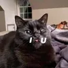squ4r3_p