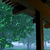 rainyroof