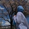ilyan__25