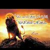 strongsoul95