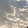 nadia_6056