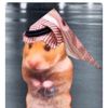 mmahaa_88
