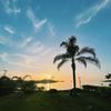 traveljunkie_