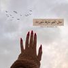 zaneb_8