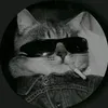 nox_unico
