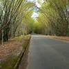 user235788682roserocha