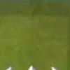 miauricio__macri