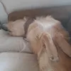 itsduckness