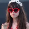 flowerblz