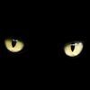 _shadow_484