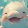jukgpwnjuwm