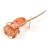 rosegold699611