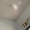 manusiasamball