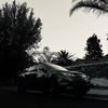 tigran.tashjian