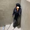 san_san195