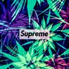 xxslime_jrizzyxx