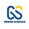 Mesob Schools