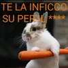 mhhhhhhioj