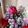 annylovecew
