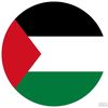 sayed.abdal.sadat