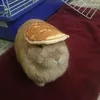 raquer_l