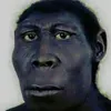 hihii77778