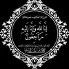 ano.ahmed2