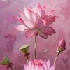 binhn.minh37