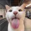 nexy00012