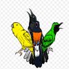 putra28birdfarm