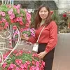 user097719761